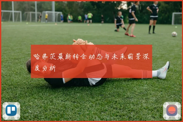 哈弗茨最新转会动态与未来前景深度分析